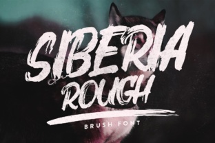 Siberia Rough: A Bold, Dynamic Brush Font